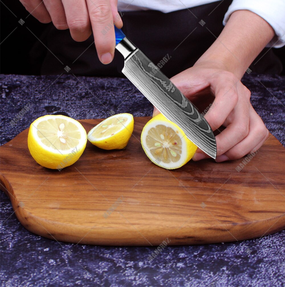 Premium Stainless Steel Kitchen Knife Set – Professional Chef Knives South Africa - Image 15