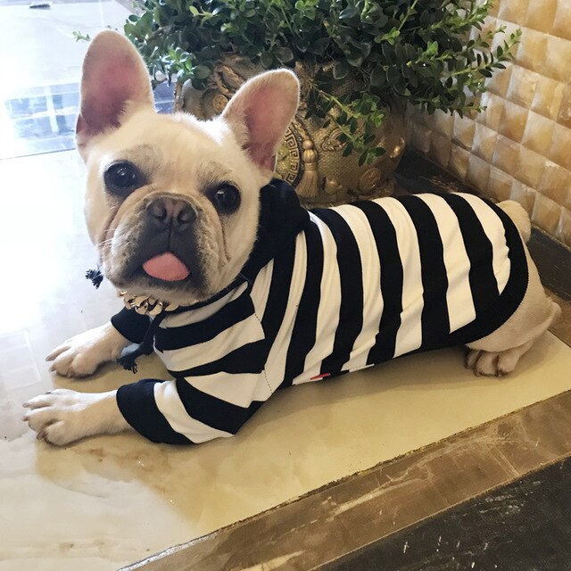 Dog Hoodie Jacket – Striped Cotton Puppy Clothes for Small Dogs - Image 10