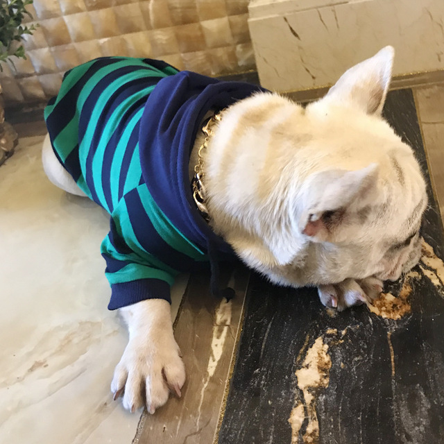 Dog Hoodie Jacket – Striped Cotton Puppy Clothes for Small Dogs - Image 8