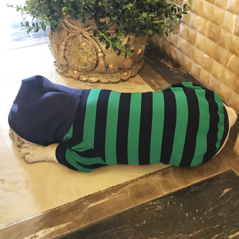 Dog Hoodie Jacket – Striped Cotton Puppy Clothes for Small Dogs - Image 6